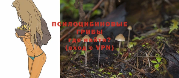 мдма Костерёво