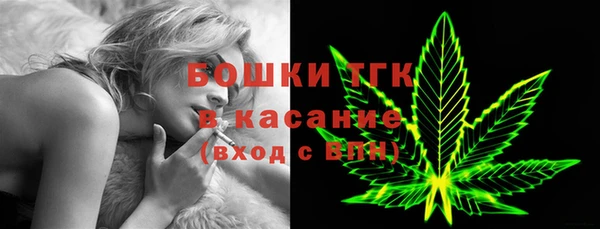 сатива Корсаков
