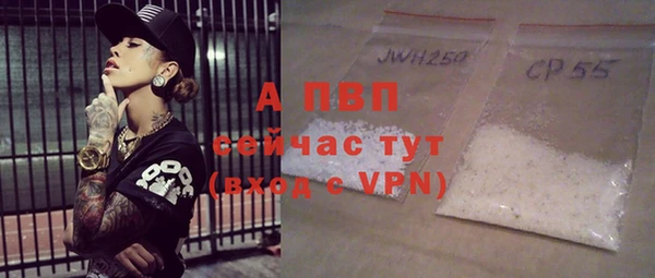 гидра Коряжма