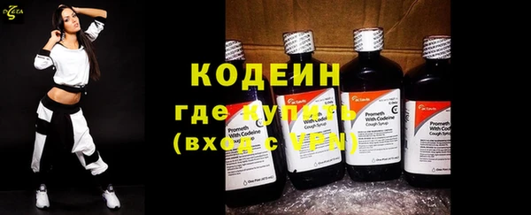сатива Корсаков