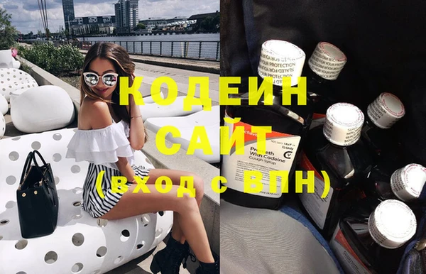 сатива Корсаков