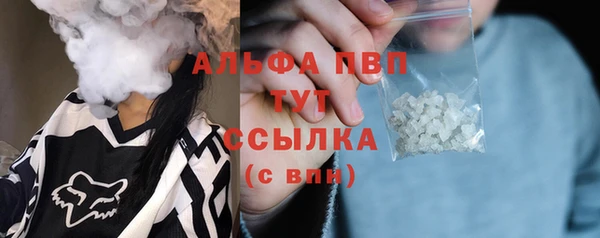 сатива Корсаков