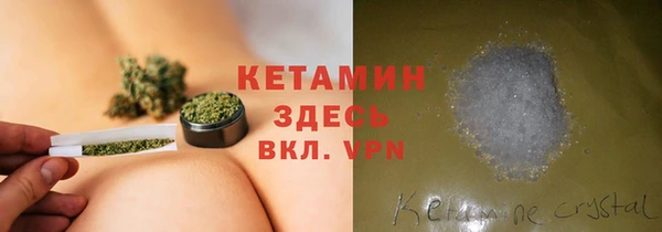сатива Корсаков