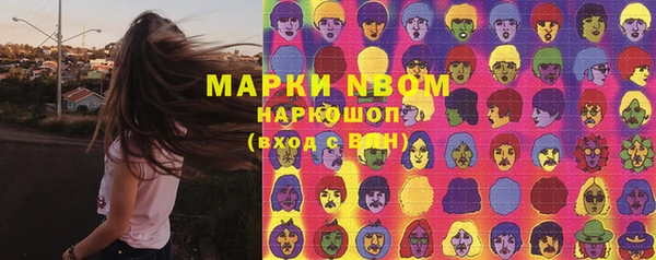 сатива Корсаков