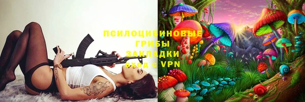 сатива Корсаков