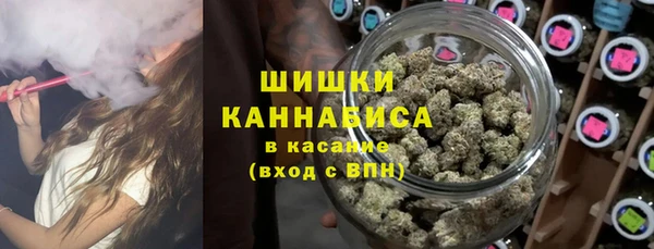 сатива Корсаков