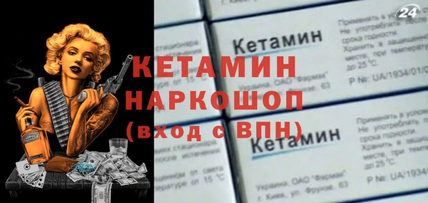 сатива Корсаков